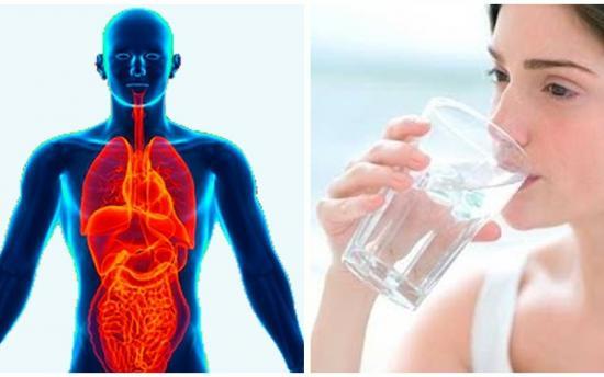 ereko.am : Օրական 7-8 բաժակ տաք ջուր խմեք…Պատճառն ապշեցնող է ձեր օրգանիզմի և մարմնի համար