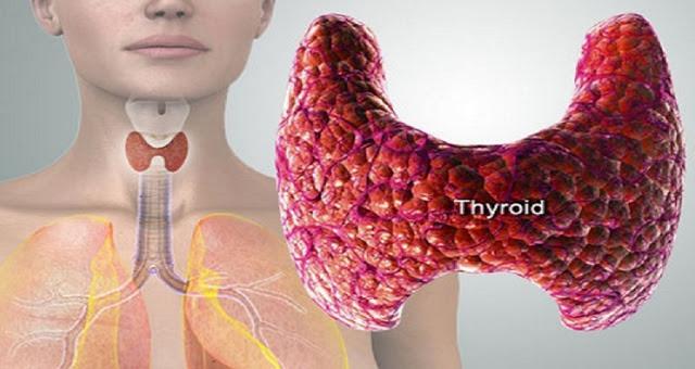 14 тревожных симптомов неисправности щитовидной железы и способы ее лечения и предотвращения
