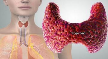 14 тревожных симптомов неисправности щитовидной железы и способы ее лечения и предотвращения